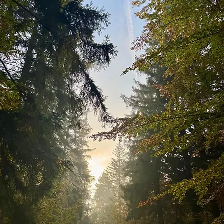 Palm Tree Perłowa Przystań Parking, 650m Do Plaży, świeżo Oddany Nowoczesny Apartament, Parkplatz Im Preis Inbegriffen, 650 Meter Zum Strand, Frisch Fertiggestellt, Geräumige Und Moderne Wohnung, Parking Included, 650 Meters To The Beach! Kołobrzeg