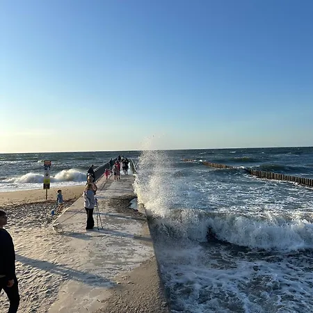 Apartament Palm Tree Perłowa Przystań Parking, 650m Do Plaży, świeżo Oddany Nowoczesny Apartament, Parkplatz Im Preis Inbegriffen, 650 Meter Zum Strand, Frisch Fertiggestellt, Geräumige Und Moderne Wohnung, Parking Included, 650 Meters To The Beach!