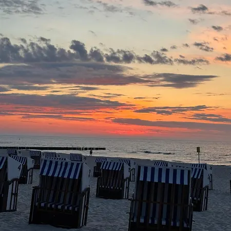 Apartament Palm Tree Perłowa Przystań Parking, 650m Do Plaży, świeżo Oddany Nowoczesny Apartament, Parkplatz Im Preis Inbegriffen, 650 Meter Zum Strand, Frisch Fertiggestellt, Geräumige Und Moderne Wohnung, Parking Included, 650 Meters To The Beach! Kołobrzeg