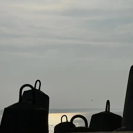 Palm Tree Perłowa Przystań Parking, 650m Do Plaży, świeżo Oddany Nowoczesny Apartament, Parkplatz Im Preis Inbegriffen, 650 Meter Zum Strand, Frisch Fertiggestellt, Geräumige Und Moderne Wohnung, Parking Included, 650 Meters To The Beach! Kołobrzeg