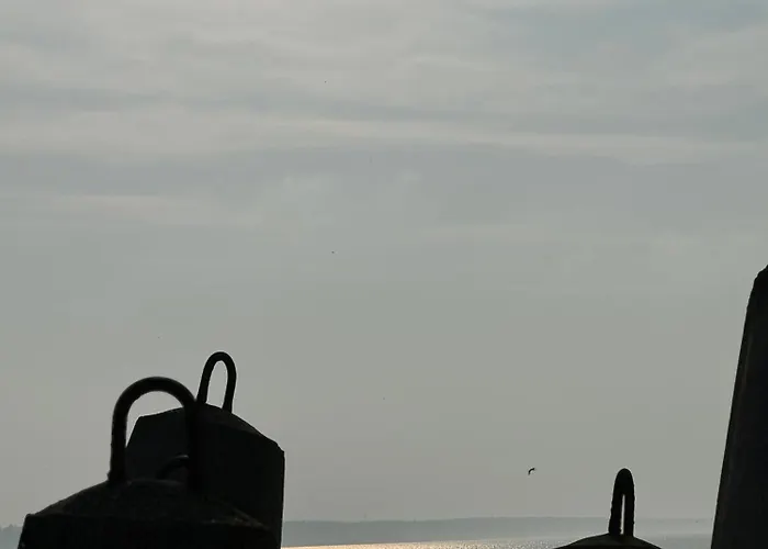 Palm Tree Perłowa Przystań Parking, 650m Do Plaży, świeżo Oddany Nowoczesny Apartament, Parkplatz Im Preis Inbegriffen, 650 Meter Zum Strand, Frisch Fertiggestellt, Geräumige Und Moderne Wohnung, Parking Included, 650 Meters To The Beach! Kołobrzeg