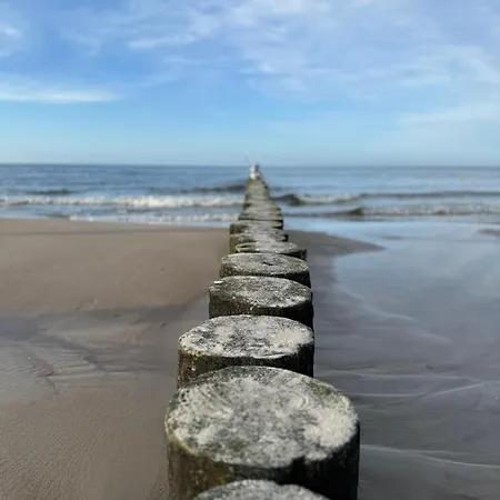 Apartment 4summer Palm Tree Perlowa Przystan Parking, 650m Do Plazy, 650 Meter Zum Kolberg