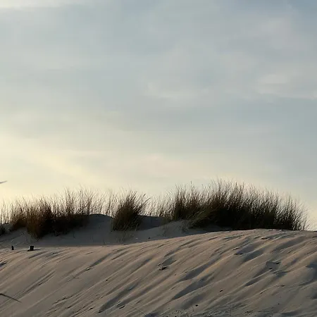 Apartament Palm Tree Perłowa Przystań Parking, 650m Do Plaży, świeżo Oddany Nowoczesny Apartament, Parkplatz Im Preis Inbegriffen, 650 Meter Zum Strand, Frisch Fertiggestellt, Geräumige Und Moderne Wohnung, Parking Included, 650 Meters To The Beach! *