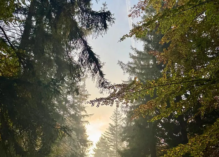 4summer Palm Tree Perlowa Przystan Parking, 650m Do Plazy, 650 Meter Zum Kolberg