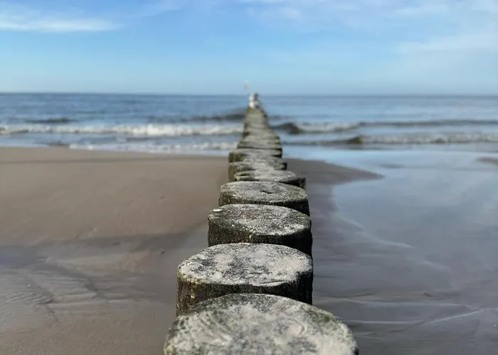 Apartment 4summer Palm Tree Perlowa Przystan Parking, 650m Do Plazy, 650 Meter Zum Kolberg