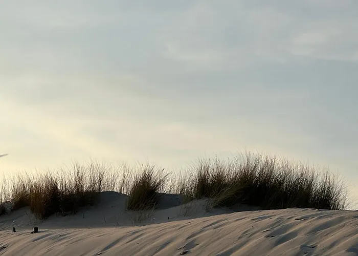 Lägenhet 4summer Palm Tree Perlowa Przystan Parking, 650m Do Plazy, 650 Meter Zum *